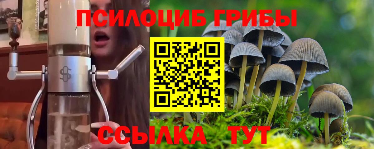 Галлюциногенные грибы Cubensis  Вход с VPN  Рязань  Псилоцибиновые грибы Psilocybe 